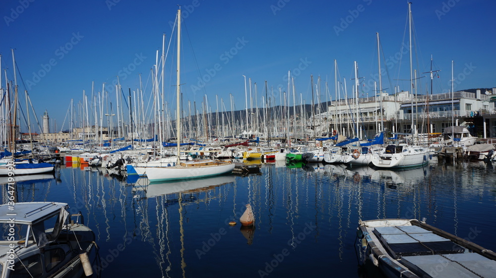 Fototapeta premium Trieste 