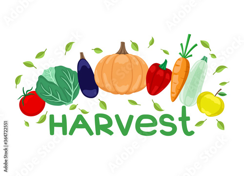 Autumn harvest of vegetables on a white background.