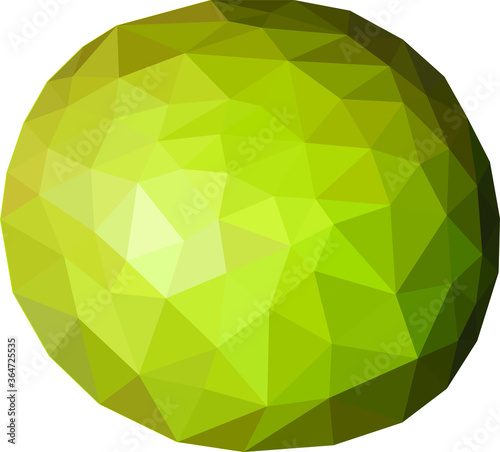 Pomelo fruit drawn in low poly technique