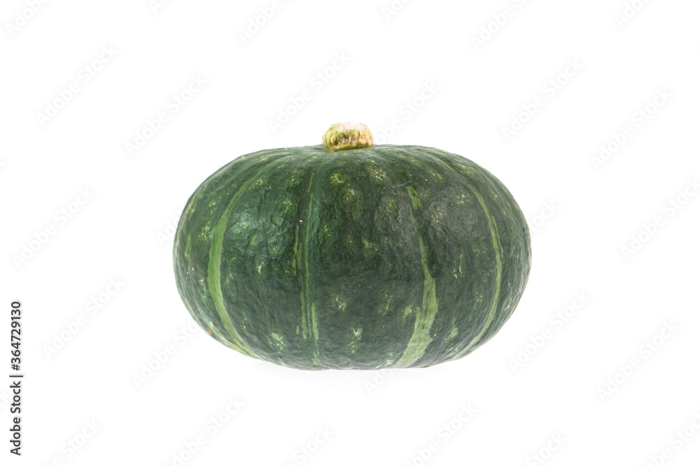 green pumpkin isolated on white green pumpkin isolated on white