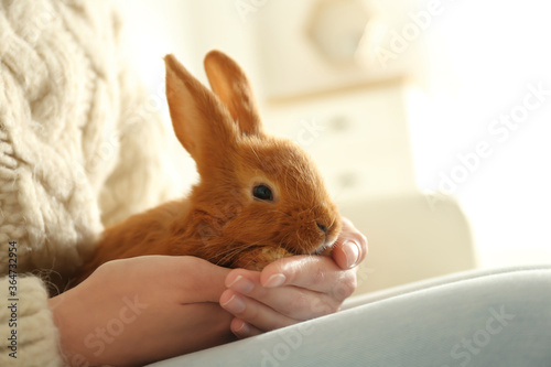Young woman with adorable rabbit indoors, closeup. Lovely pet