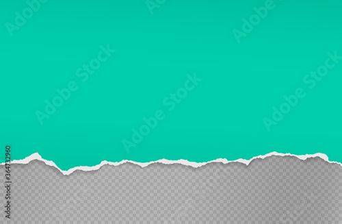 Piece of torn and horizontal green paper with soft shadow is on grey squared background for text. Vector illustration