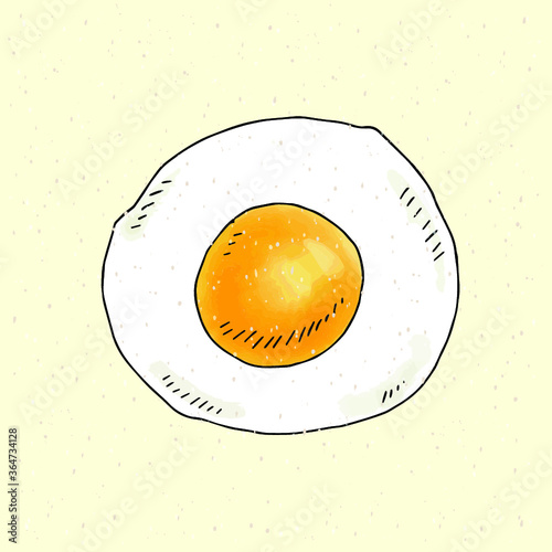 Fried egg. Vector illustration.