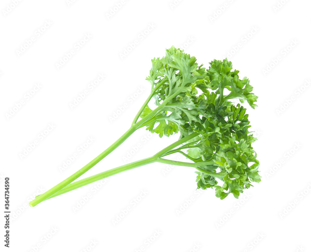 Parsley isolated on white background Parsley isolated on white background
