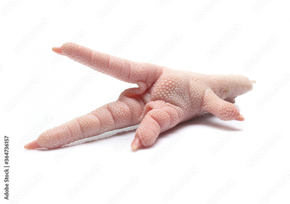 Chicken feet on white background Chicken feet on white background