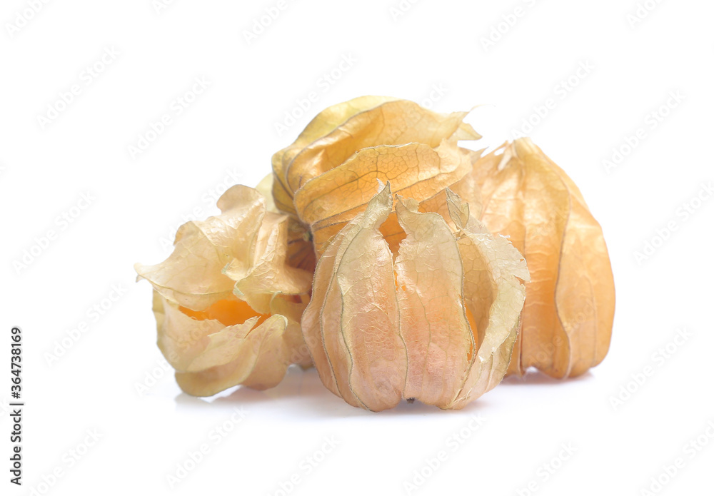 Physalis ,cape gooseberry isolated on white Physalis ,cape gooseberry isolated on white