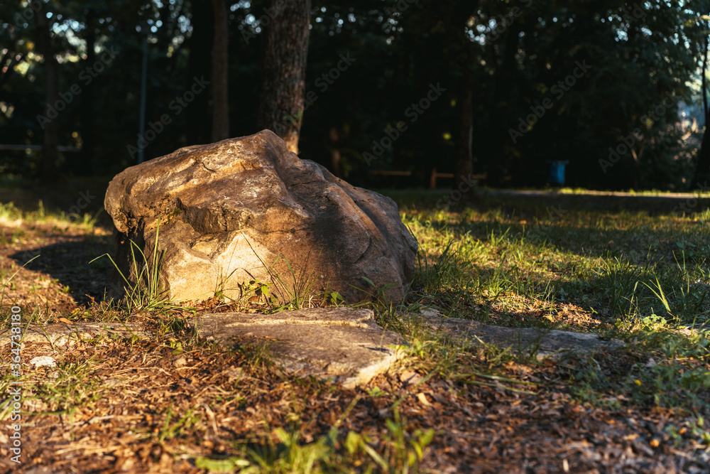 A large granite stone lying on the grass area. Beautiful summer park with tall trees, large stones and tree. Park with large stones. A large granite stone lying on the grass area. Beautiful summer park with tall trees, large stones and tree. Park with large stones.