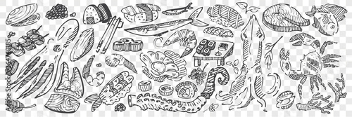 Hand drawn sea food doodle set