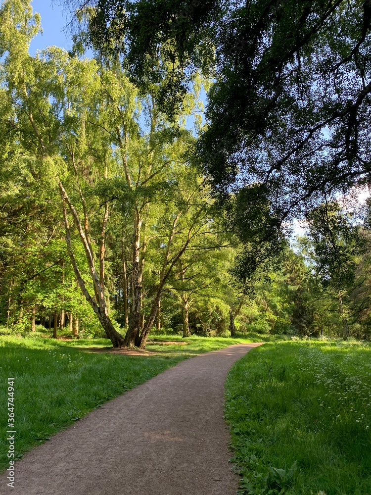 Obraz premium Path in the park