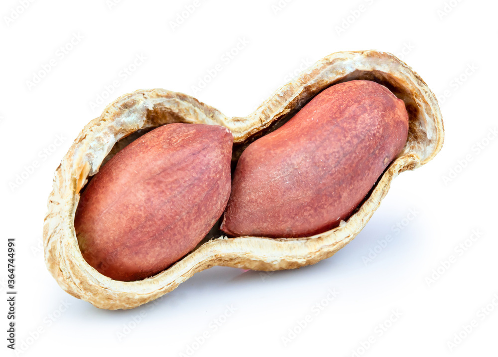 Peanuts isolated on white background Peanuts isolated on white background