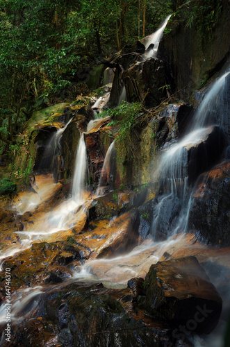 Waterfall stream flowing in the tropical rainforest and moss covering the stone. selective focus shot