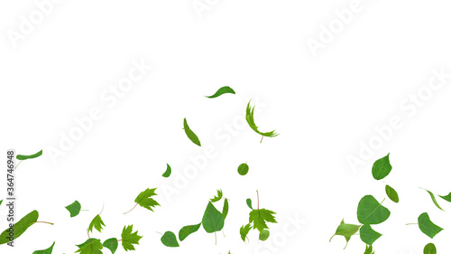 Green Flying leaves leaf 3D illustration background
