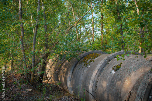Abandoned concrete pipes in the forest © liper06