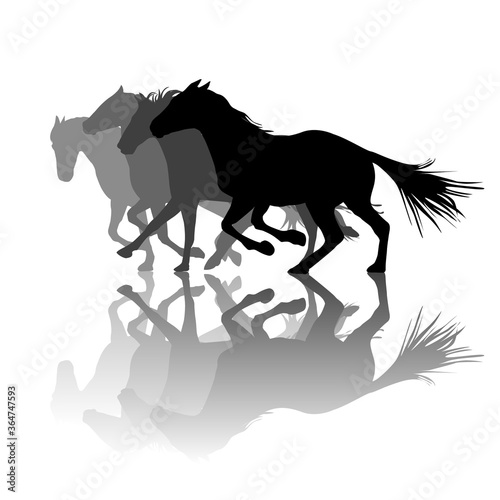 Silhouettes of horses running