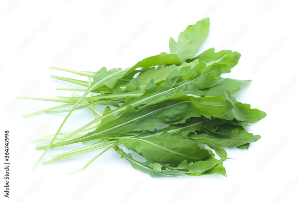 green fresh rucola leaves isolated on white background. Rocket salad or arugula