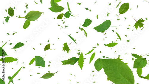 Green Flying leaves leaf 3D illustration background