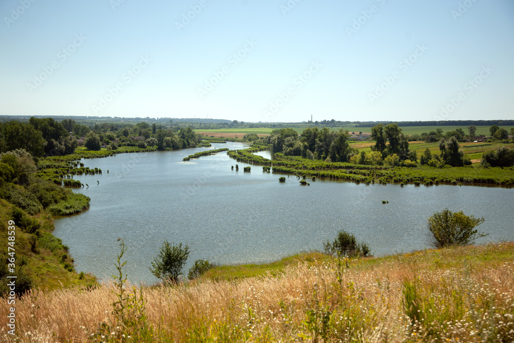 
View from the mountain to the spilled river, the shore in summer flowers. 
Ukrainian landscape