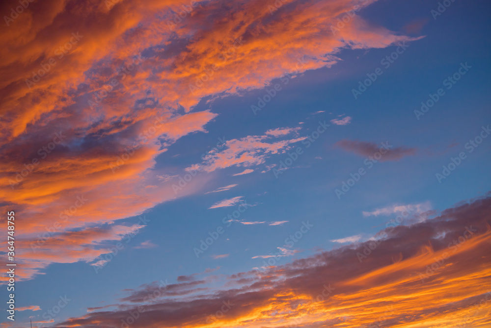 Fototapeta premium 鮮やかな夏の空の夕焼け
