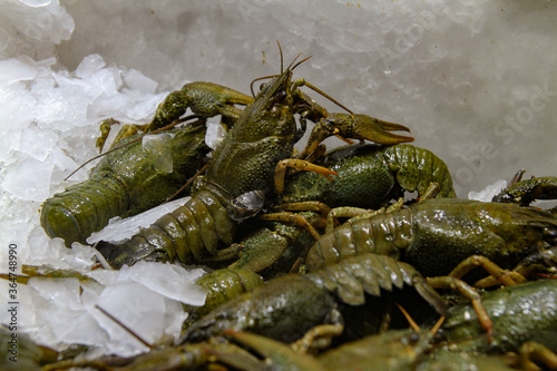 Some crayfishes on the market