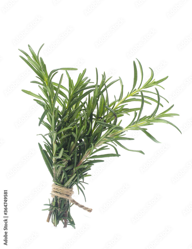 Fototapeta premium rosemary isolated on white background