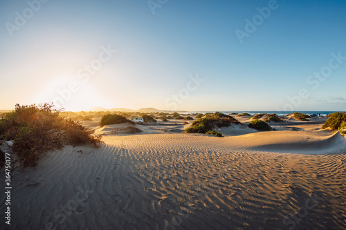 Sandy dunes with plants at sunset in Famara beach  Lanzarote