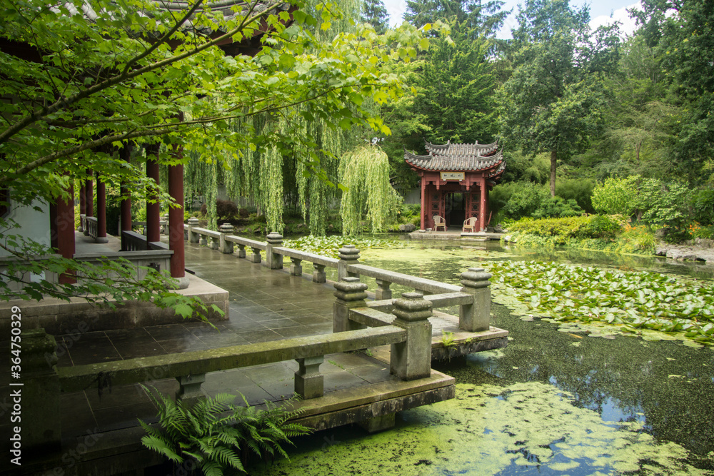 chinese pavilion in the garden