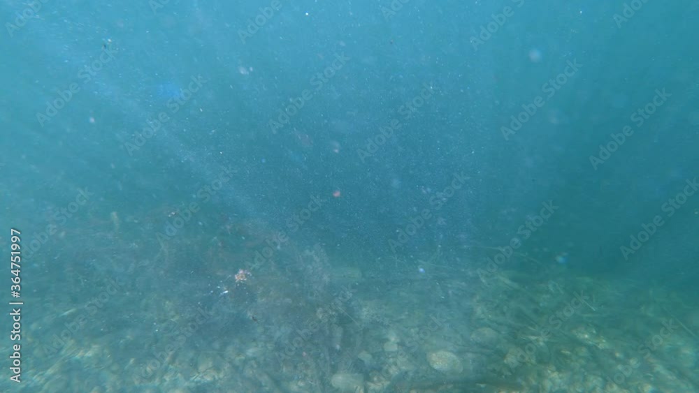 Slow motion underwater view of pebbles and dead tree branches in the lake. Particles floating in water. Sun rays light moving on lake bottom bed. Looking down, left pan Slow motion underwater view of pebbles and dead tree branches in the lake. Particles floating in water. Sun rays light moving on lake bottom bed. Looking down, left pan