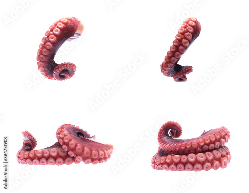 tentacles of octopus isolated on white background (set  mix   collection).