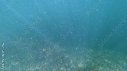 Slow motion underwater view of pebbles and dead tree branches in the lake. Particles floating in water. Sun rays light moving on lake bottom bed. Looking down, left pan