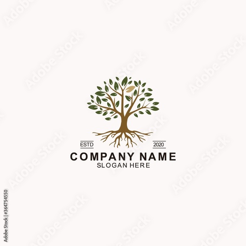 golden Tree of Life Stamp Seal Emblem Oak Banyan Maple logo design