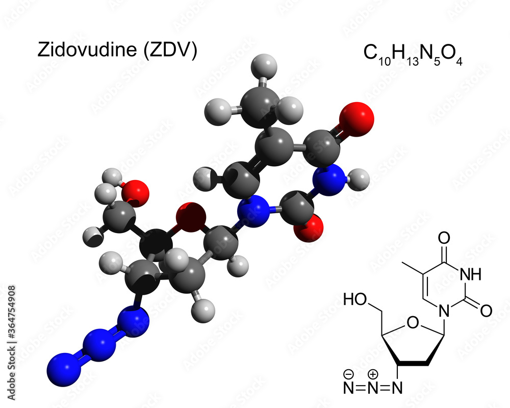 Chemical formula, structural formula and 3D ball-and-stick model of zidovudine (ZDV), also known as azidothymidine (AZT), an antiretroviral medication used to prevent and treat HIV/AIDS