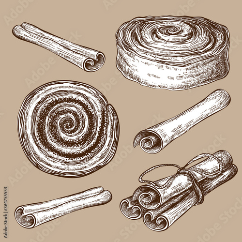 hand drawn sweet cinnamon buns or rolls with cinnamon sticks collection isolated on white. Vector pastry sketch set. vintage illustration of sweet dessert. cinamon, poppy or cocoa snail, tasty swirls