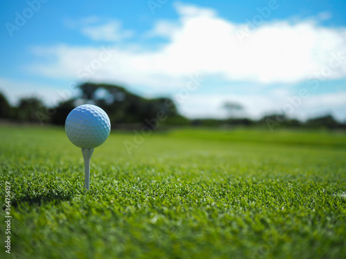 The white golf ball sits on the Tee on a green lawn, blue sky