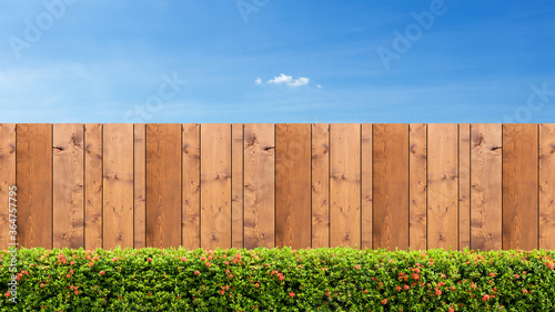 Brown wooden fence and Green bush on a clear blue sky background