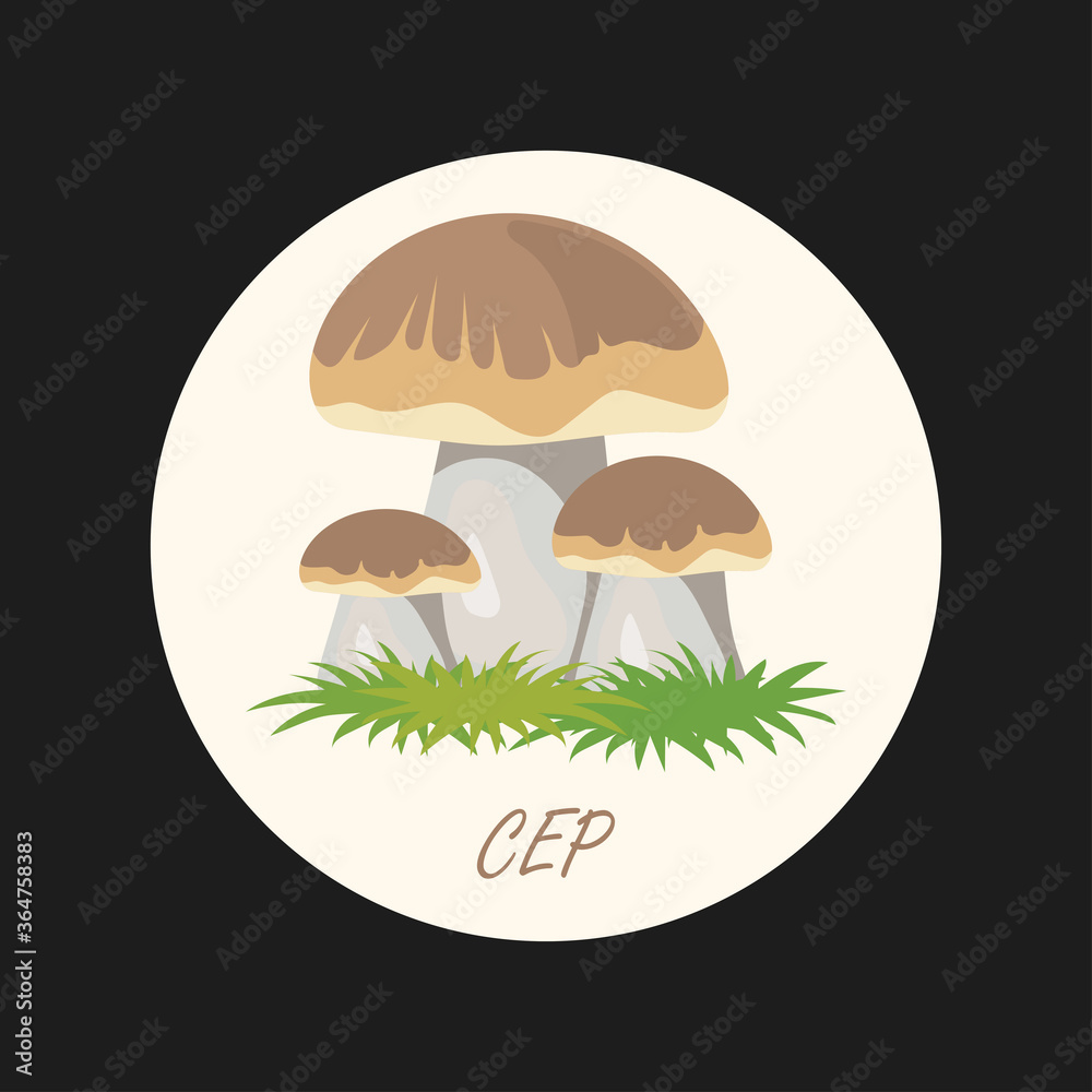 edible cep mushrooms banner. vector illustration edible cep mushrooms banner. vector illustration