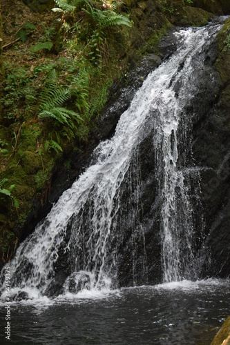 Wasserfall im Enderttal bei Maria Martental, Eifel photo