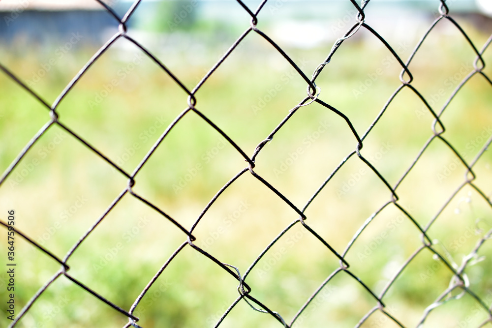Iron mesh netting on the garden fence in summer Iron mesh netting on the garden fence in summer