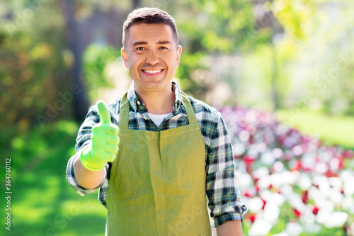 gardening and people concept - happy smiling middle-aged man in apron showing thumbs up at summer garden