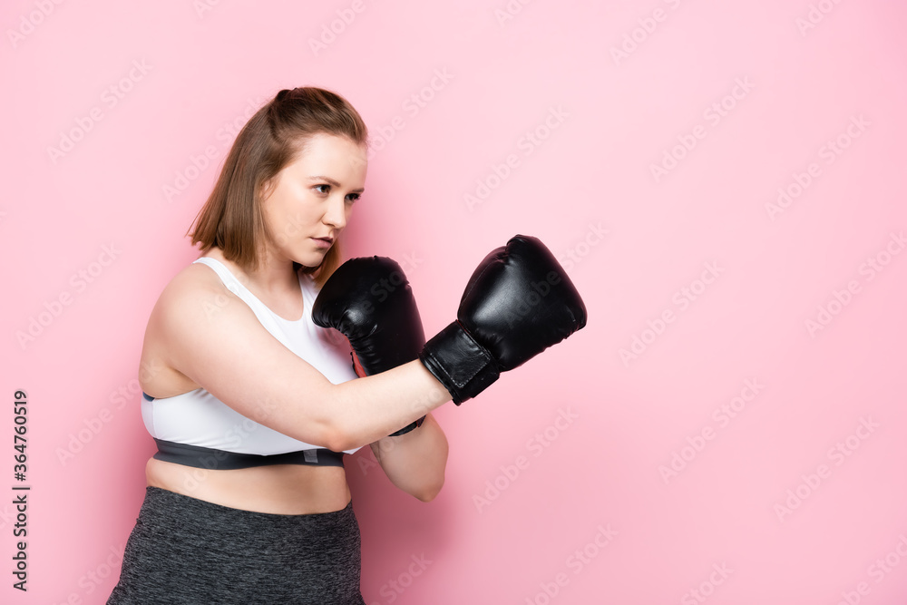 focused overweight girl in sportswear training in boxing gloves on pink focused overweight girl in sportswear training in boxing gloves on pink