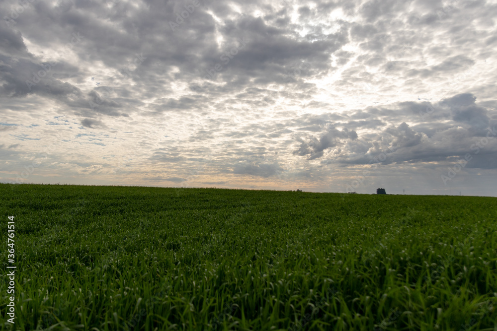 Horizonte Horizonte