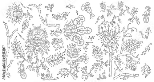 Set of decorative fantasy flowers and branches inspired indian paisley culture. Floral elements in oriental style. Monochrome line-art with editable stroke