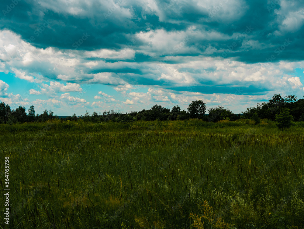 Landscape of the Botanical Garden in Radzionków. Free entry space. Landscape of the Botanical Garden in Radzionków. Free entry space.