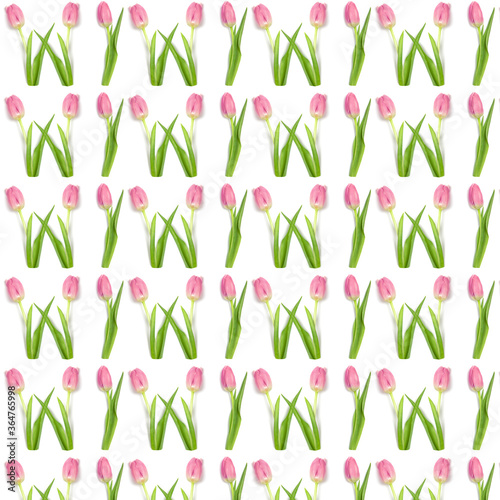 Wonderful pink tulips on a white background.