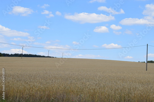 sommerliche Eifel photo