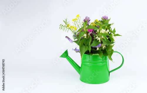 Bouquet of bright wildflowers in green watering can, isolated on white