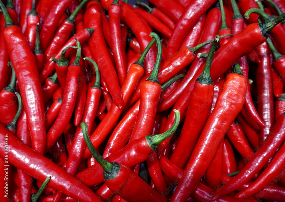 Red Chilli Background Fresh Organic Herb Ingredient for Sale in Market. Hot peppers. Spicy pepper food. Capsicum annuum.