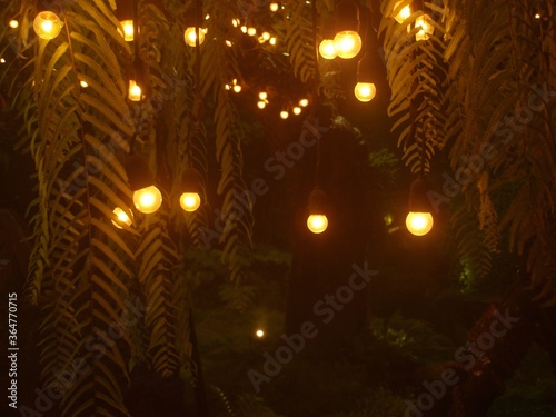 Creative photography. Glowing yellow light round bulbs hanging on a tree in the dark at night. Bright lights in the dark. Yellow lanterns. Street decorations, decor on the tree. Idea, concept, art