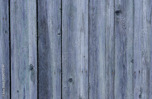 Wallpaper Mural Dark grey soft wood surface as background. Vintage grey wooden fence. Wood plank texture for background. Gradient of blue and grey colors. Stylish background wallpaper Torontodigital.ca