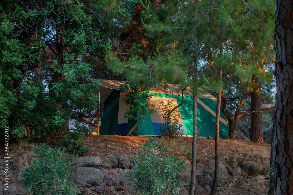 tents in the camping area. camping new normal new vacation. Camping tent in tree area. tents in the camping area. camping new normal new vacation. Camping tent in tree area.