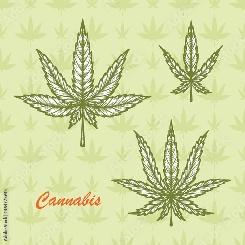 Medicinal plants Set. Cannabis Leaf Sketch. Vector Marijuana Leaves. Hand drawn Hemp Leaf